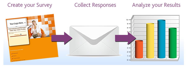 Your surveys